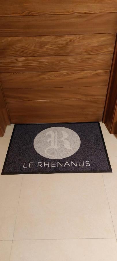 Le Rhenanus Jean Geiler De Kaysersberg - Appartement Ideal Pour Famille, Au Calme - Centre Ville - Parking Gratuit Sélestat Kültér fotó
