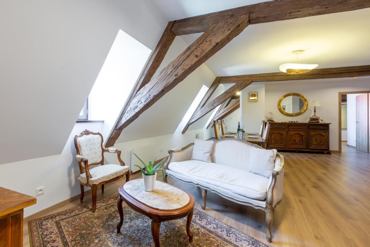 Le Rhenanus Jean Geiler De Kaysersberg - Appartement Ideal Pour Famille, Au Calme - Centre Ville - Parking Gratuit Sélestat Kültér fotó